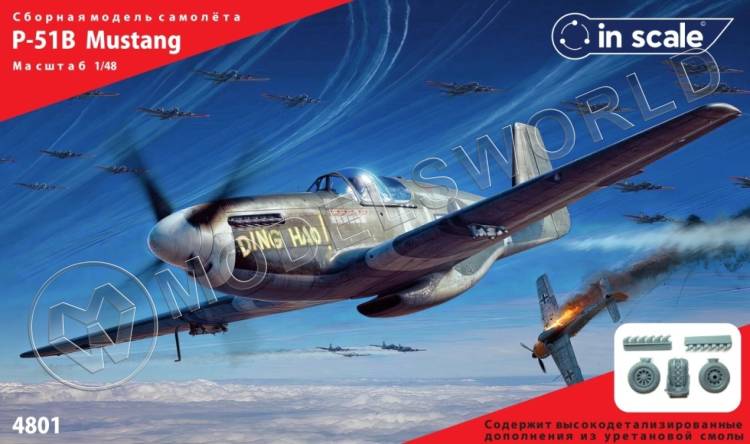 Пластиковая модель 1/48 P-51B Mustang - фото 1