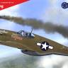 Пластиковая модель самолета 1/48 Mustang P-51C - истребитель USAAC.