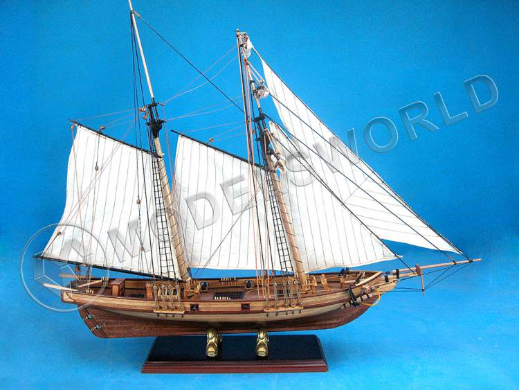 Набор для постройки модели корабля NEW PORT. Масштаб 1:32 - фото 1