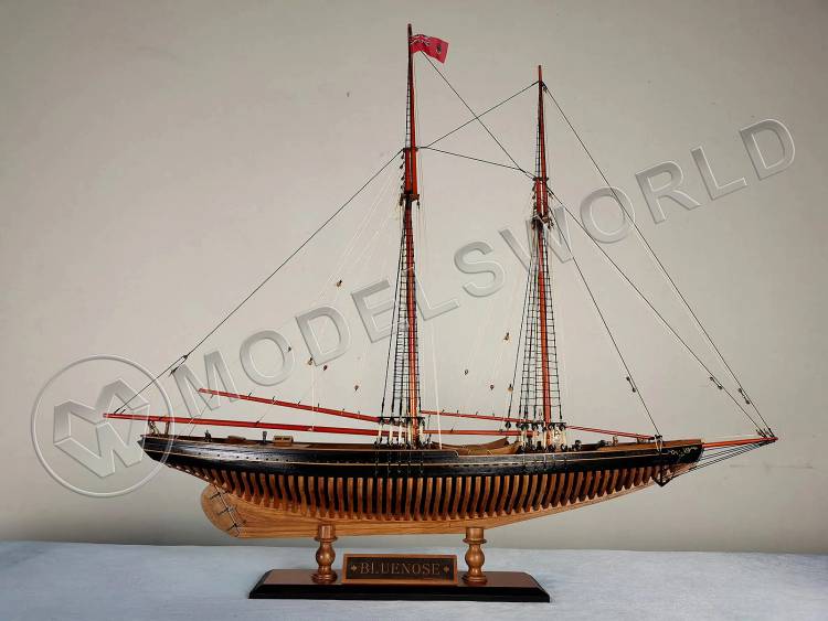 Набор для постройки модели корабля FULL RIB BLUENOSE. Масштаб 1:72 - фото 1