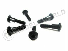 Винты с круглой головкой Himoto M3х13.5 под шестигранник, 6 шт