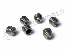 Винт фиксатор M4*4 (6 шт.)